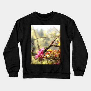 red Malus 'Radiant' crab apple blossoms #10 Crewneck Sweatshirt